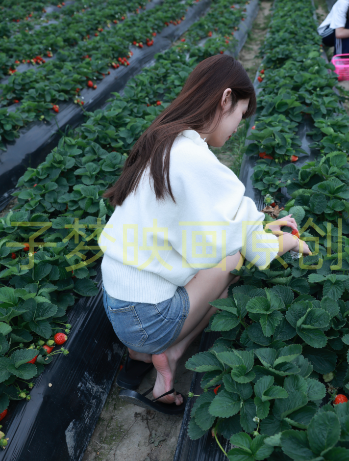 第274期-红红-酸的不止草莓[563张图片+39分钟视频]-已完结