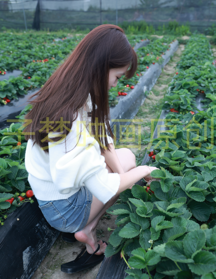 第274期-红红-酸的不止草莓[563张图片+39分钟视频]-已完结